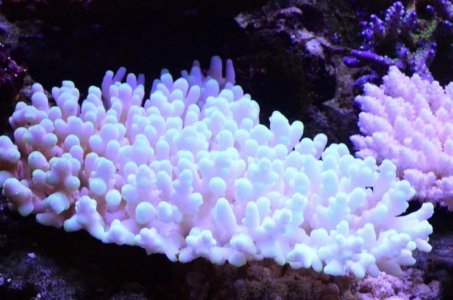 DSC_5056 (Medium).jpg