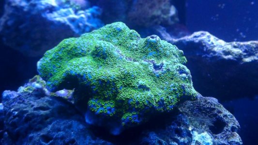 2015-12-07 20.57.52.jpg