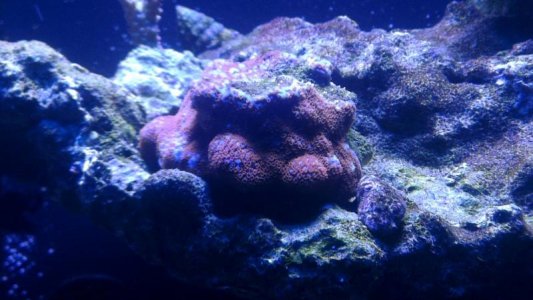 2015-12-07 20.58.08.jpg