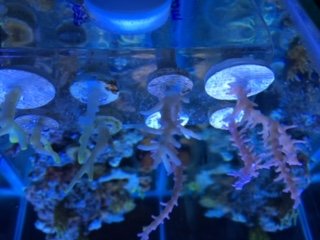 IMG_1062.JPG