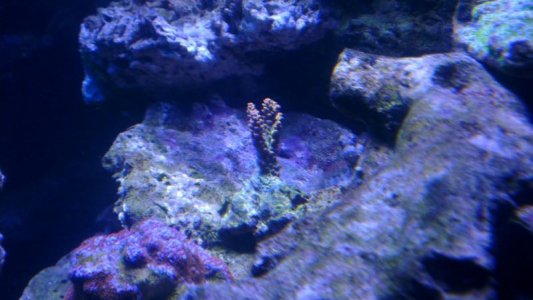 2015-12-07 21.01.33.jpg