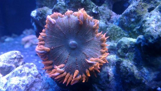 2015-12-07 21.00.39.jpg