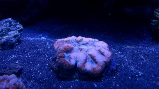 2015-12-07 20.56.21.jpg