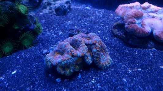 2015-12-07 20.56.30.jpg