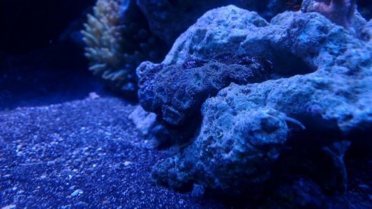 2015-12-07 21.05.12.jpg