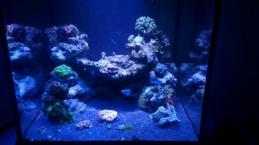 2015-12-07 21.22.28.jpg