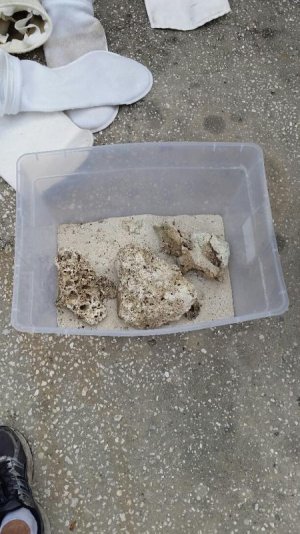 2016-01-02 11.05.53.jpg