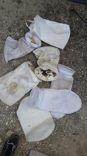 2016-01-02 11.06.59.jpg