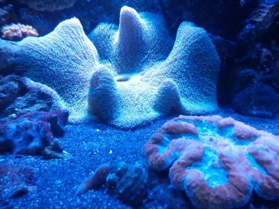 2016-01-02 20.55.16.jpg