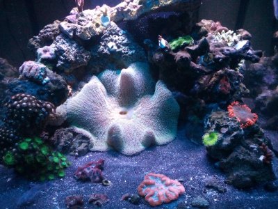 2016-01-02 20.55.45.jpg