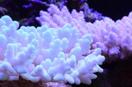 DSC_5047 (Medium).jpg