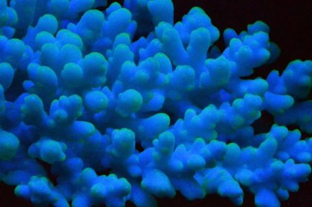 DSC_4944 (Medium).jpg