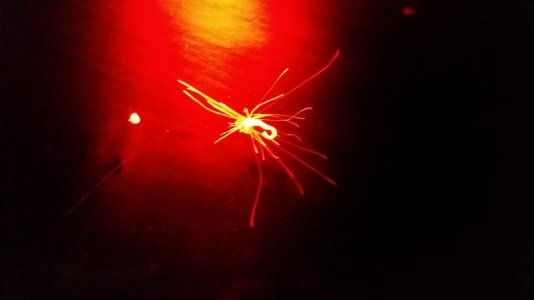 20151207_215437.jpg