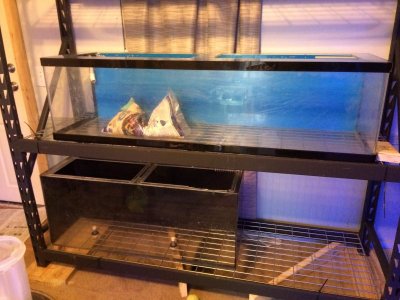 IMG_2829.jpg IMG_2829.jpg