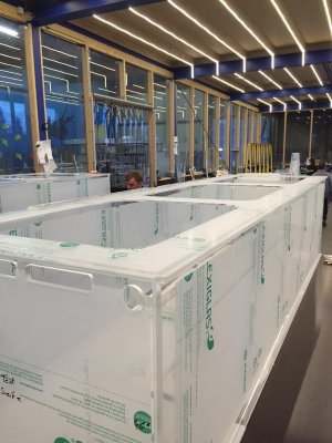 IMG_2256.jpg IMG_2256.jpg