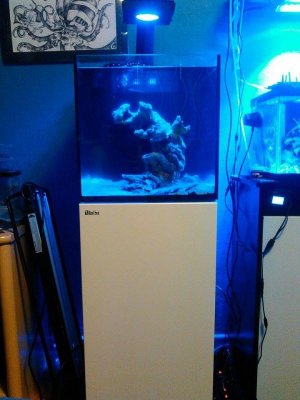 Full tank shot 1.jpg