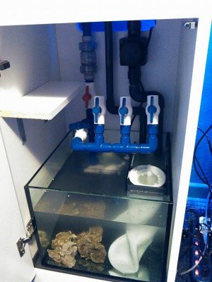 Manifold 1.jpg