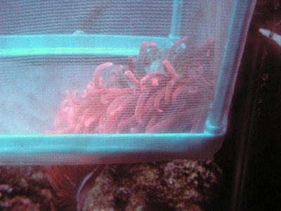 PICT0048.jpg