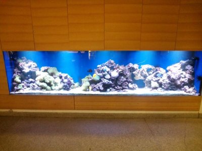 2015-11-24 13.37.11.jpg