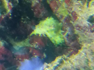 20151210_171205.jpg