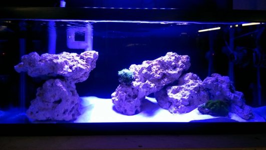 2015-12-10 21.01.33.jpg