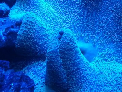 2016-01-04 21.42.17.jpg