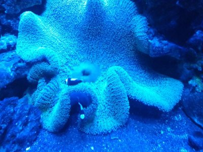 2016-01-04 21.49.05.jpg