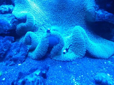 2016-01-04 21.49.34.jpg