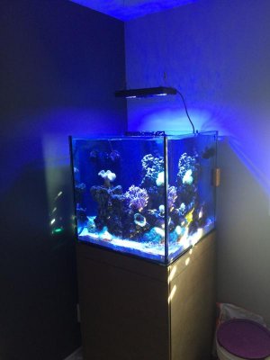 Tank Full.jpg