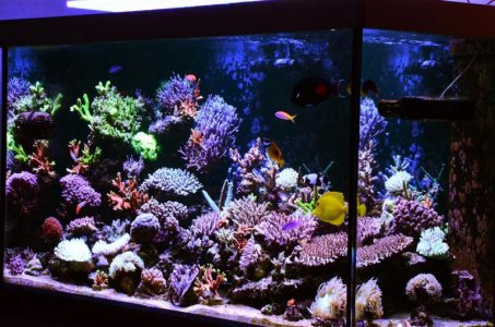 DSC_5309 (Medium).jpg