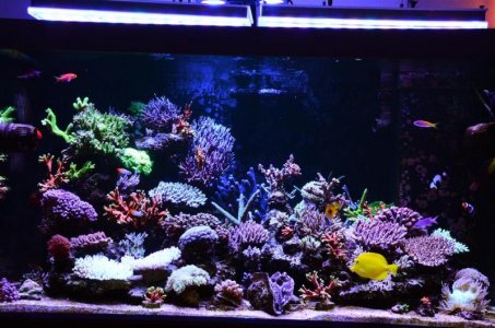 DSC_5307 (Medium).jpg