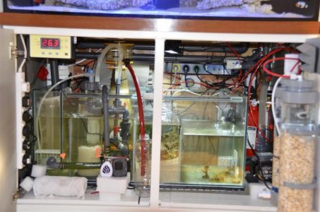 dastaco full sump.jpg