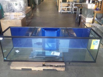 New tank.jpg