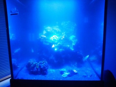 2015-10-27 09.09.39.jpg