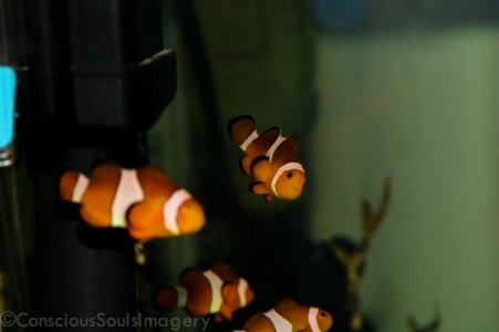 DSC_2357.jpg