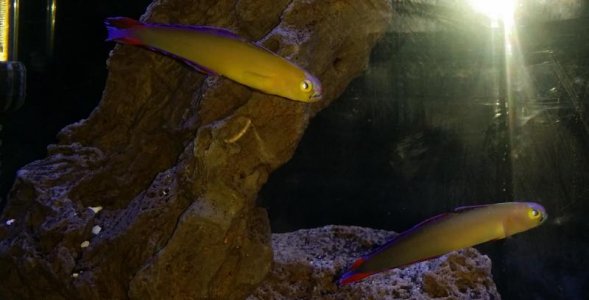 20160101_183332 (2).jpg