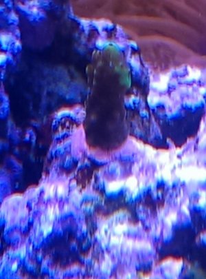 IMAG0345.jpg