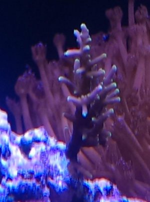 IMAG0346.jpg