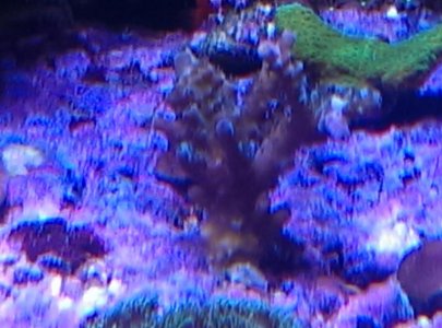 IMAG0348.jpg