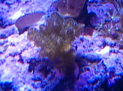 IMAG0349.jpg