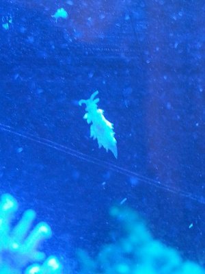 20160106_202458_resized.jpg