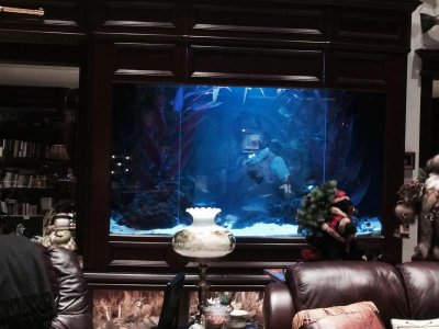 Bob's tank.jpg