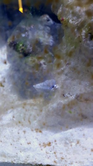 20160115_171857 (1).jpg