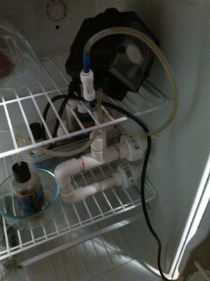 Dosing pump in fridge 2.jpg