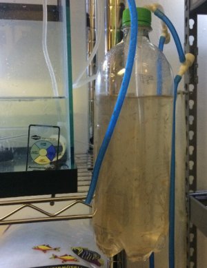Feeder Bottle 2.jpg