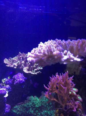 IMG_3569.jpg