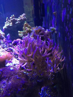 IMG_3677.jpg