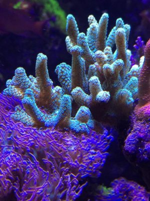 IMG_3678.jpg