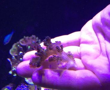 IMG_3716.jpg