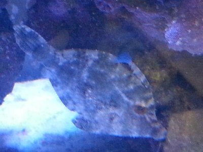 20160109_095209[1].jpg